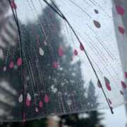 ヒメ日記 2025/07/14 10:43 投稿 あまね ミセスコレクション