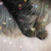 ヒメ日記 2025/07/17 10:03 投稿 あまね ミセスコレクション