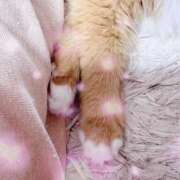 ヒメ日記 2025/07/18 09:54 投稿 あまね ミセスコレクション