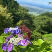 ヒメ日記 2025/07/24 11:23 投稿 あまね ミセスコレクション