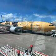 ヒメ日記 2025/08/26 09:53 投稿 あまね ミセスコレクション