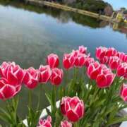 ヒメ日記 2025/09/16 10:28 投稿 あまね ミセスコレクション