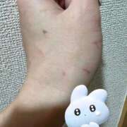 ヒメ日記 2025/09/25 11:45 投稿 あまね ミセスコレクション