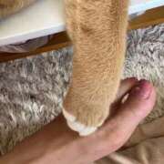 ヒメ日記 2025/09/30 10:13 投稿 あまね ミセスコレクション