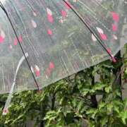 ヒメ日記 2025/10/03 11:13 投稿 あまね ミセスコレクション