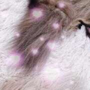 ヒメ日記 2025/10/11 10:23 投稿 あまね ミセスコレクション