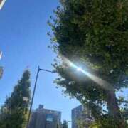 ヒメ日記 2025/10/29 10:09 投稿 あまね ミセスコレクション