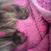 ヒメ日記 2025/11/08 10:13 投稿 あまね ミセスコレクション