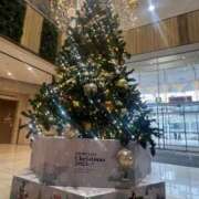 ヒメ日記 2025/11/26 09:53 投稿 あまね ミセスコレクション