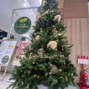 ヒメ日記 2025/12/19 11:30 投稿 あまね ミセスコレクション