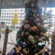 ヒメ日記 2025/12/25 10:03 投稿 あまね ミセスコレクション