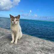 ヒメ日記 2026/01/10 10:13 投稿 あまね ミセスコレクション