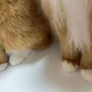 ヒメ日記 2026/01/12 10:23 投稿 あまね ミセスコレクション