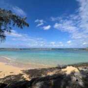 ヒメ日記 2026/01/13 11:59 投稿 あまね ミセスコレクション