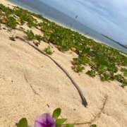 ヒメ日記 2026/01/27 11:58 投稿 あまね ミセスコレクション