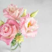 ヒメ日記 2025/03/21 23:33 投稿 あかり ミセスコレクション