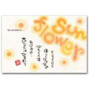 ヒメ日記 2025/03/30 02:03 投稿 あかり ミセスコレクション
