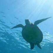 ヒメ日記 2025/04/25 10:23 投稿 あかり ミセスコレクション