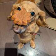 ヒメ日記 2024/12/09 00:43 投稿 みお ミセスコレクション