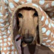 ヒメ日記 2024/12/15 12:23 投稿 みお ミセスコレクション