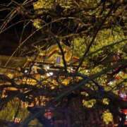 ヒメ日記 2025/01/01 22:13 投稿 みお ミセスコレクション