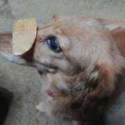 ヒメ日記 2025/01/07 15:53 投稿 みお ミセスコレクション