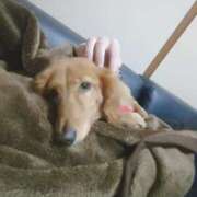 ヒメ日記 2025/01/20 15:43 投稿 みお ミセスコレクション