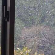 ヒメ日記 2025/01/21 15:25 投稿 みお ミセスコレクション