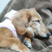 ヒメ日記 2025/03/06 04:45 投稿 みお ミセスコレクション