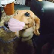 ヒメ日記 2025/03/06 13:43 投稿 みお ミセスコレクション