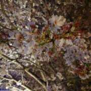 ヒメ日記 2025/03/10 16:03 投稿 みお ミセスコレクション