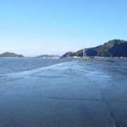 ヒメ日記 2025/03/24 20:40 投稿 みお ミセスコレクション