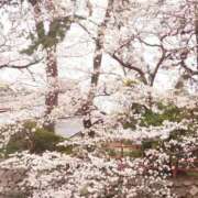 ヒメ日記 2025/03/31 00:03 投稿 みお ミセスコレクション