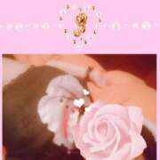 ヒメ日記 2025/03/31 13:53 投稿 みお ミセスコレクション