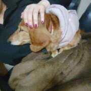 ヒメ日記 2025/04/07 08:33 投稿 みお ミセスコレクション