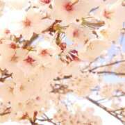 ヒメ日記 2025/04/07 14:35 投稿 みお ミセスコレクション