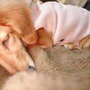 ヒメ日記 2025/04/12 10:43 投稿 みお ミセスコレクション