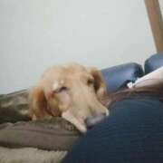 ヒメ日記 2025/04/14 10:43 投稿 みお ミセスコレクション