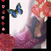 ヒメ日記 2025/04/14 19:27 投稿 みお ミセスコレクション