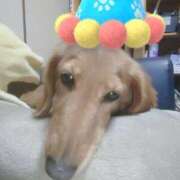 ヒメ日記 2025/04/16 10:43 投稿 みお ミセスコレクション