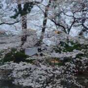 ヒメ日記 2025/04/17 13:34 投稿 みお ミセスコレクション