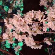 ヒメ日記 2025/04/18 18:03 投稿 みお ミセスコレクション