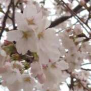 ヒメ日記 2025/04/23 10:04 投稿 みお ミセスコレクション