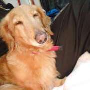 ヒメ日記 2025/05/11 05:13 投稿 みお ミセスコレクション