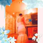 ヒメ日記 2025/05/28 17:04 投稿 みお ミセスコレクション