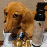 ヒメ日記 2025/05/29 02:53 投稿 みお ミセスコレクション