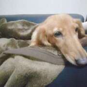 ヒメ日記 2025/05/30 03:33 投稿 みお ミセスコレクション