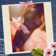 ヒメ日記 2025/06/07 02:23 投稿 みお ミセスコレクション