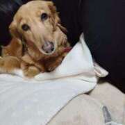 ヒメ日記 2025/06/07 04:13 投稿 みお ミセスコレクション