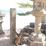 ヒメ日記 2025/06/16 02:03 投稿 みお ミセスコレクション